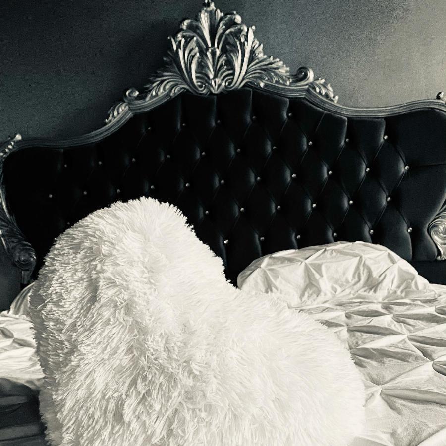 Hypolite Bed and Breakfast Avesnes-sur-Helpe Eksteriør billede