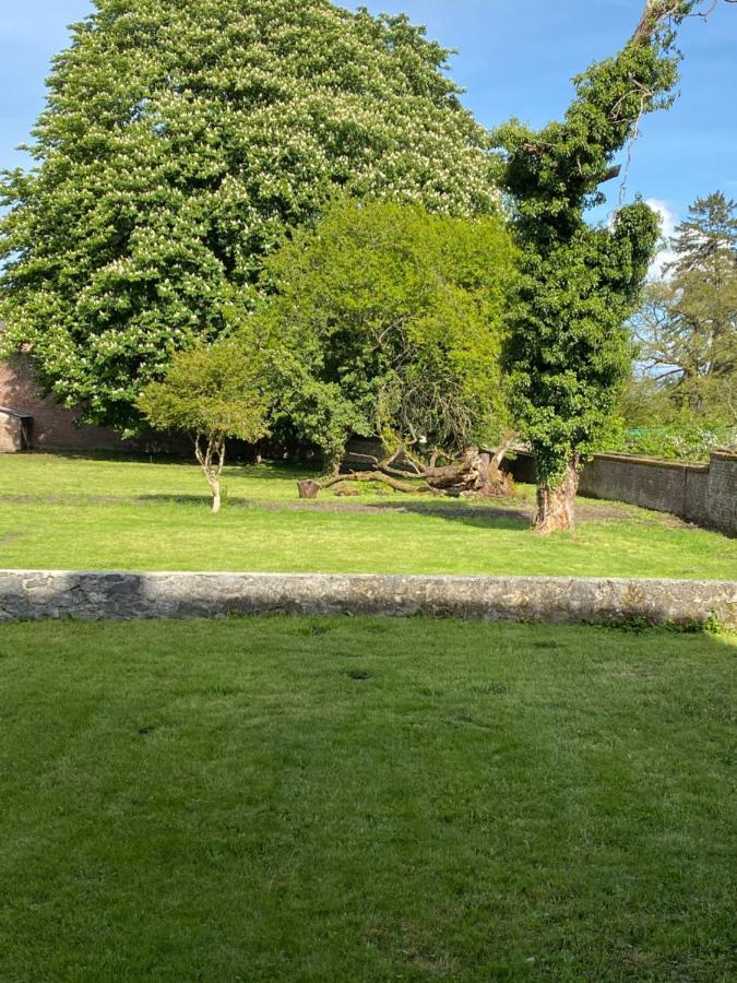 Hypolite Bed and Breakfast Avesnes-sur-Helpe Eksteriør billede